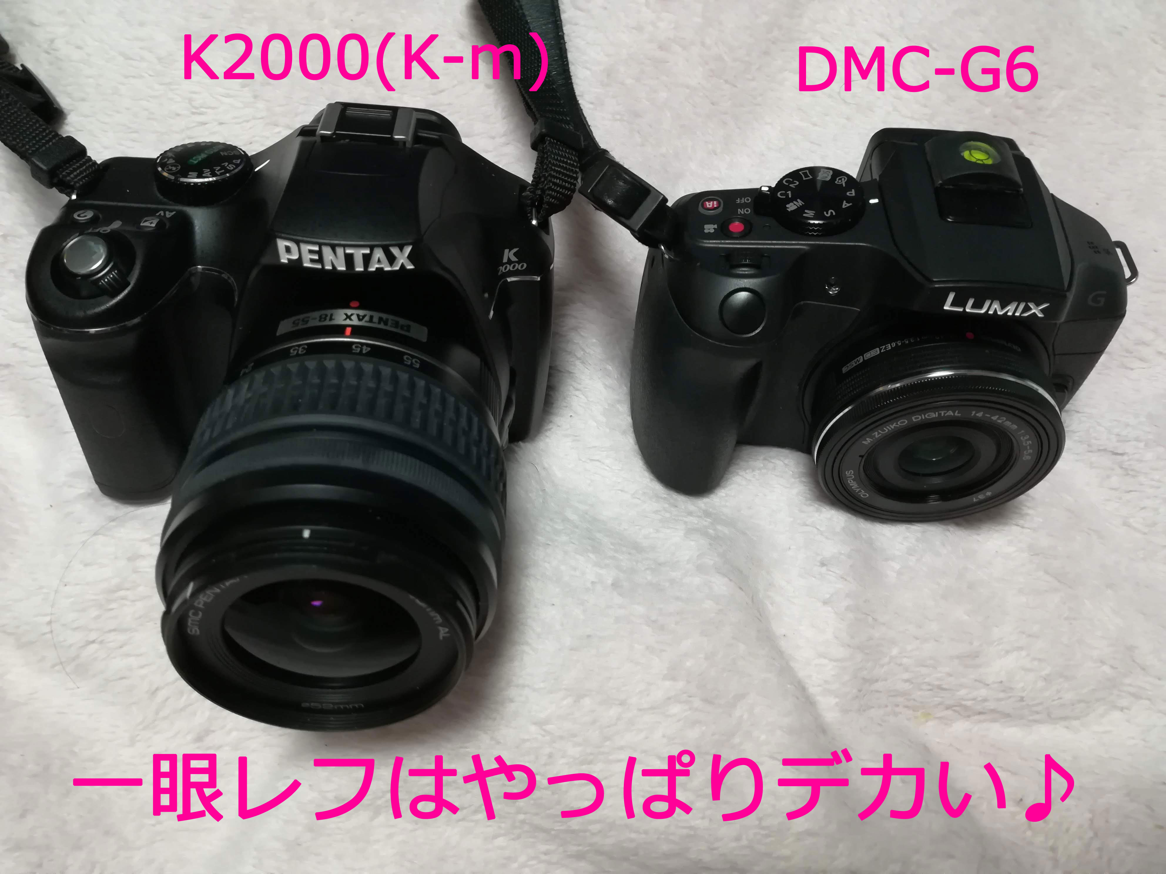 PENTAX K-m��Panasonic G6�̑傫����r2