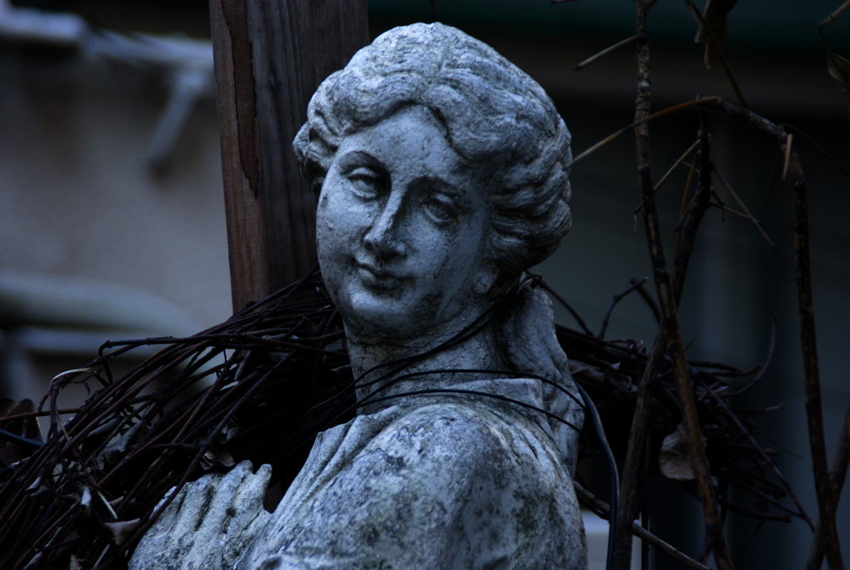 ��������1