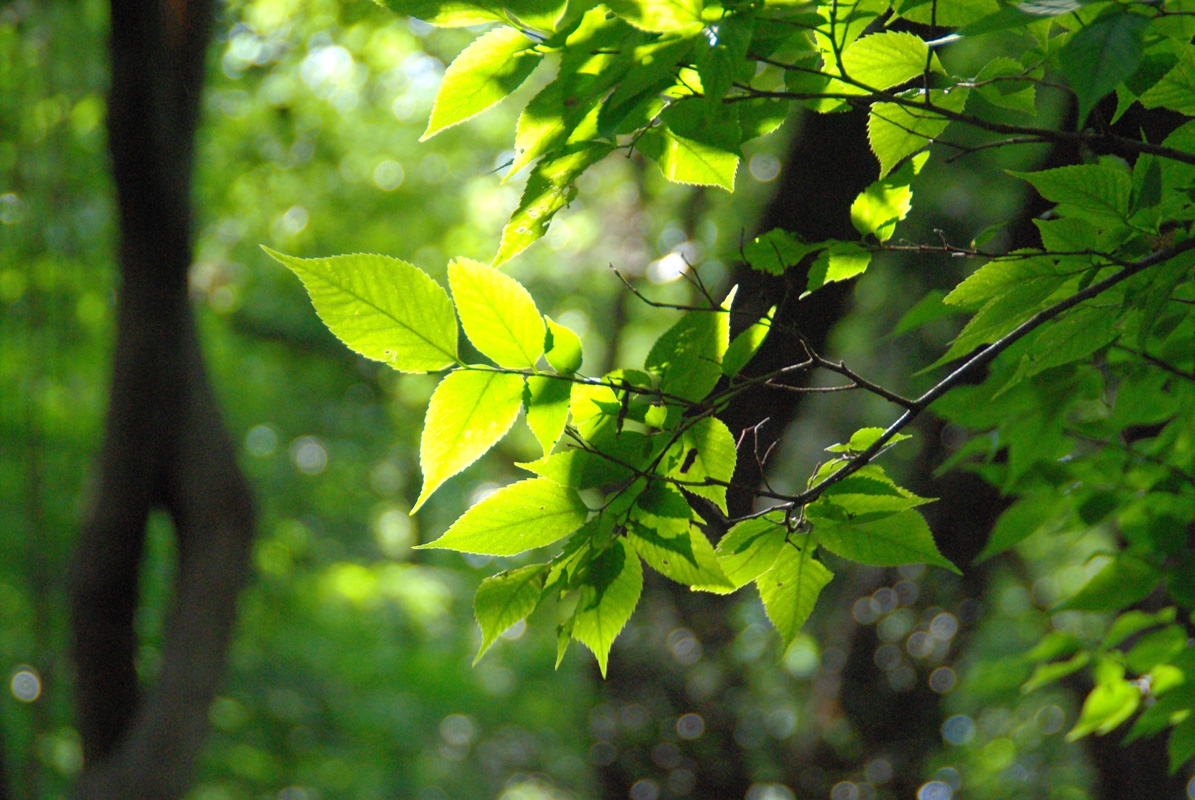 �Ԃ̃A�b�v�ʐ^