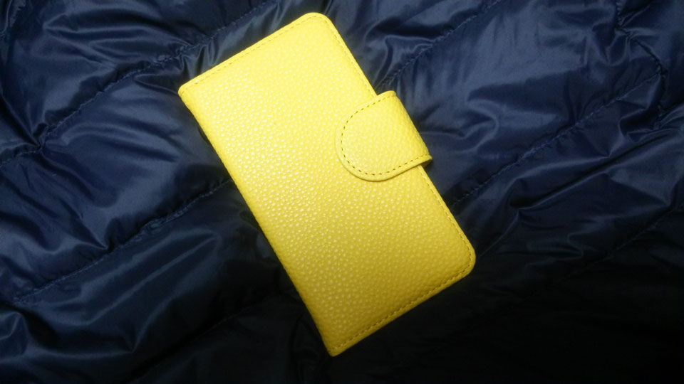 ���F�̎蒠�^�P�[�X