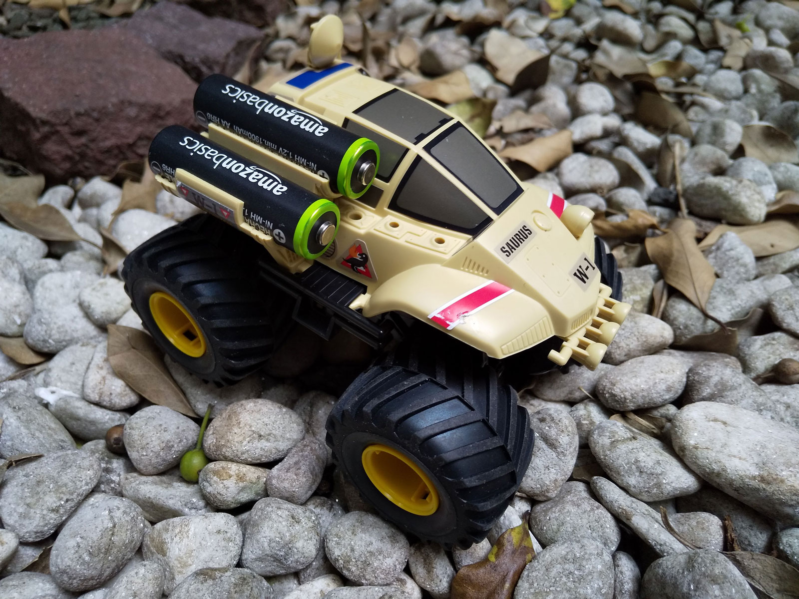 庭で走らせて遊ぶ