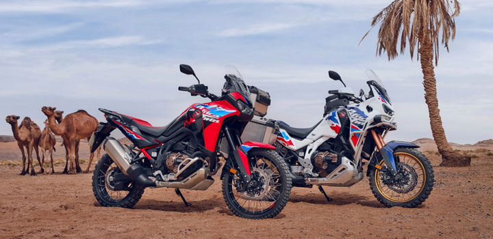 アフリカツイン