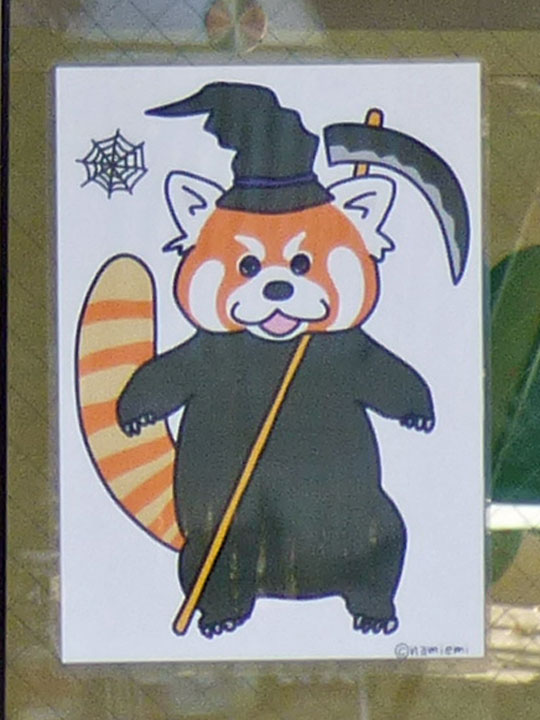 レッサーパンダ