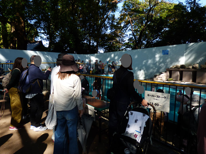 ペンギンコーナー