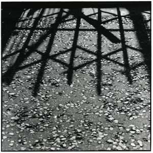 ���@�i�ΐ쒬�j