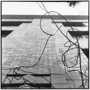 �����̂悤�ȁ@�i�֓��j