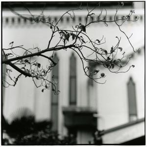 �悱����@�i�֓��j